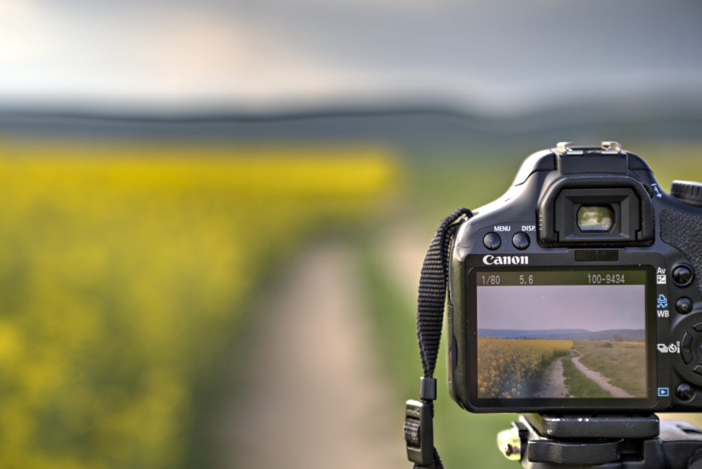 krajina-krajinka-foto-photo-levice-mayaphoto