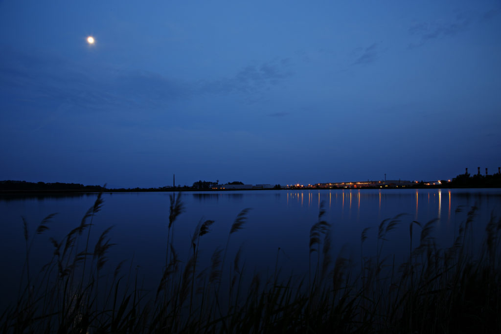 blue-moment-levice-mayaphoto